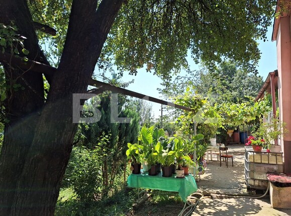 Casa de vânzare 3 camere Viișoara - 136490CV | BLITZ Bistriţa | Poza9