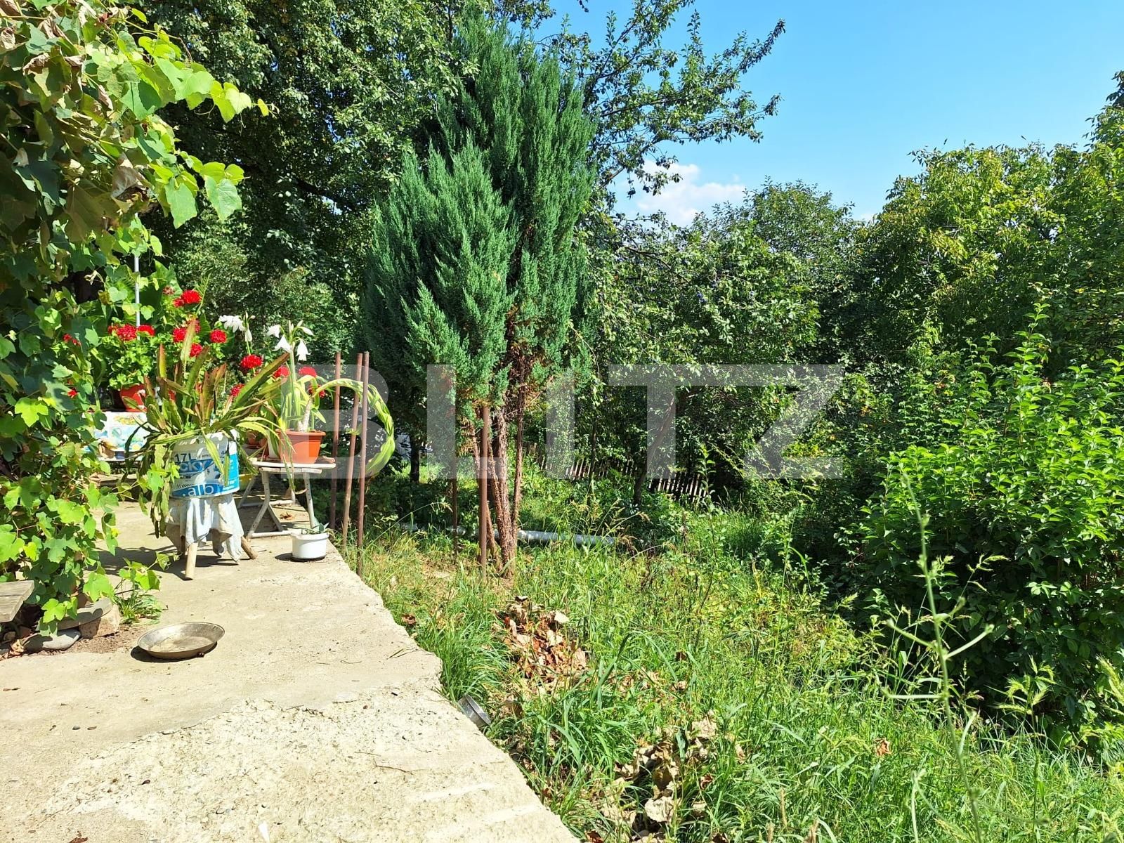 Casa de vânzare 3 camere Viișoara - 136490CV | BLITZ Bistriţa | Poza12