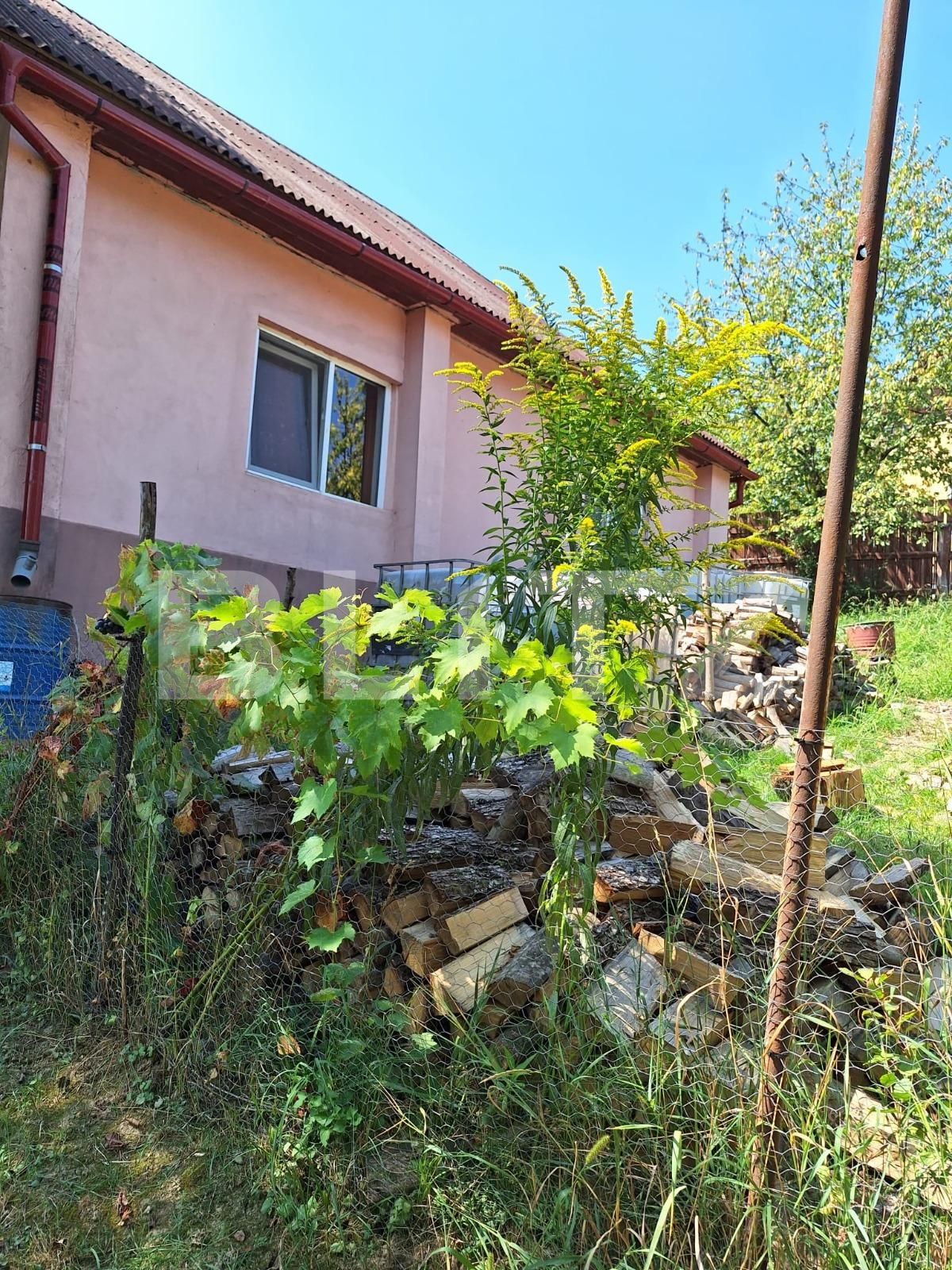 Casa de vânzare 3 camere Viișoara - 136490CV | BLITZ Bistriţa | Poza2