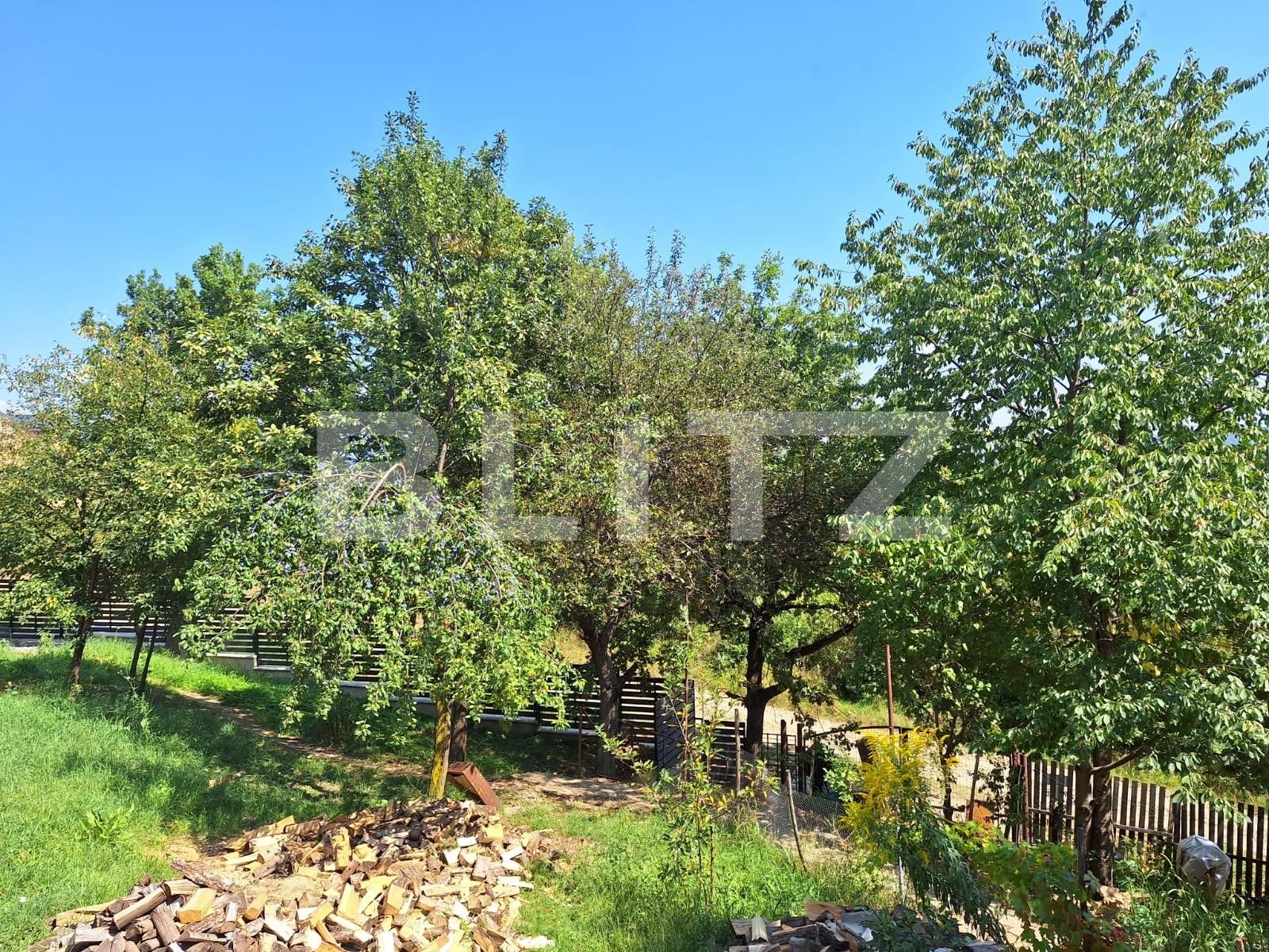 Casa de vânzare 3 camere Viișoara - 136490CV | BLITZ Bistriţa | Poza7