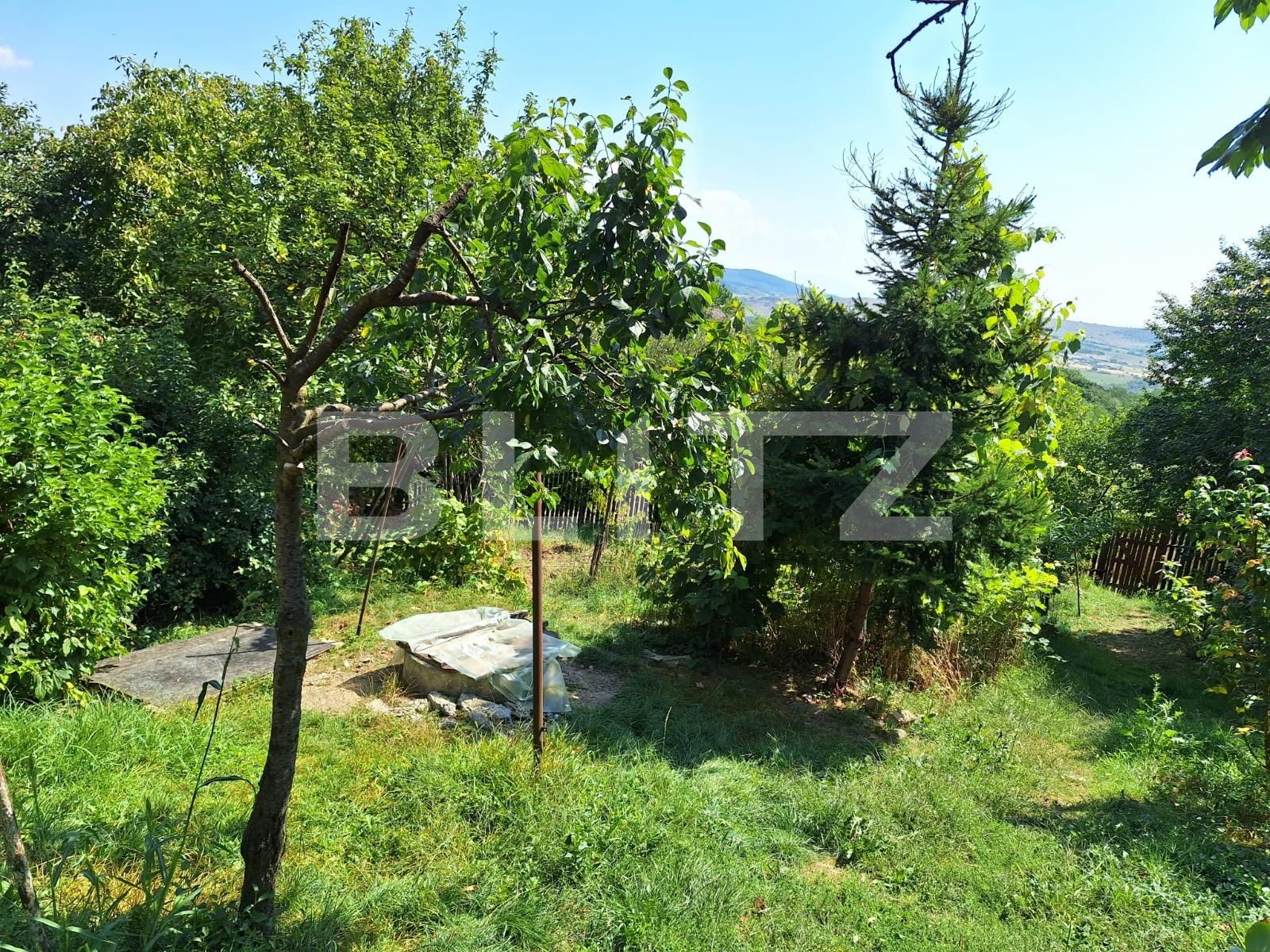 Casa de vânzare 3 camere Viișoara - 136490CV | BLITZ Bistriţa | Poza13