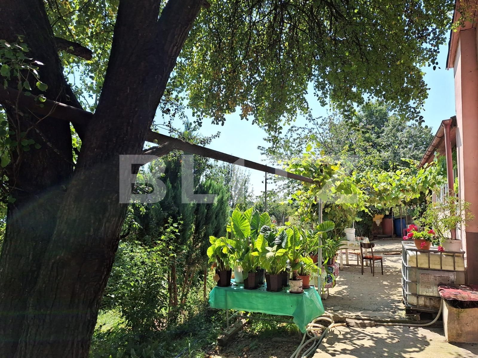 Casa de vânzare 3 camere Viișoara - 136490CV | BLITZ Bistriţa | Poza9