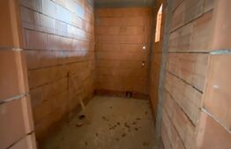 Casa Valea Ghinzii, 200 mp, 10 arii teren 