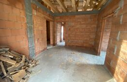 Casa Valea Ghinzii, 200 mp, 10 arii teren 