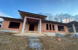 Casa Valea Ghinzii, 200 mp, 10 arii teren 