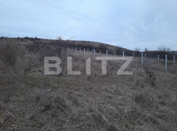 Teren de vânzare Exterior Sud - 136511TV | BLITZ Bistriţa | Poza2