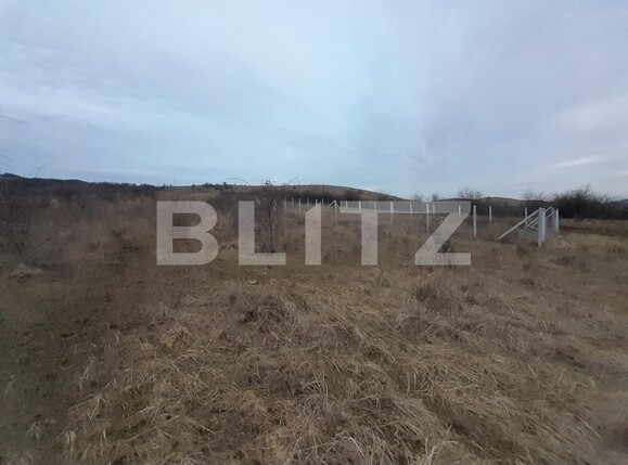 Teren de vânzare Exterior Sud - 136511TV | BLITZ Bistriţa | Poza1