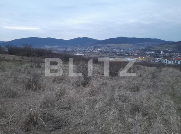 Teren de vânzare Exterior Sud - 136511TV | BLITZ Bistriţa | Poza3