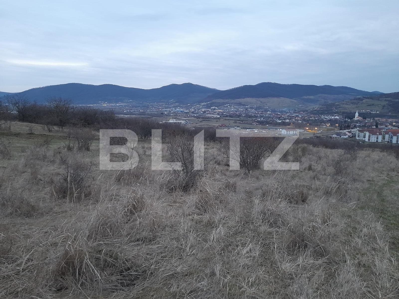 Teren de vânzare Exterior Sud - 136511TV | BLITZ Bistriţa | Poza3