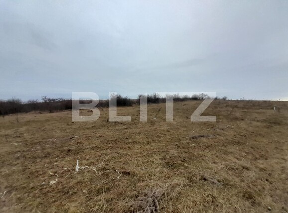 Teren de vânzare Sud-Vest - 136515TV | BLITZ Bistriţa | Poza4
