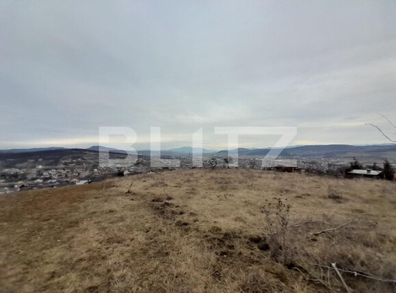 Teren de vânzare Sud-Vest - 136515TV | BLITZ Bistriţa | Poza1