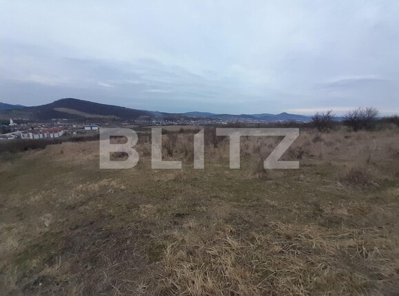 Teren de vânzare Sud-Vest - 136515TV | BLITZ Bistriţa | Poza5