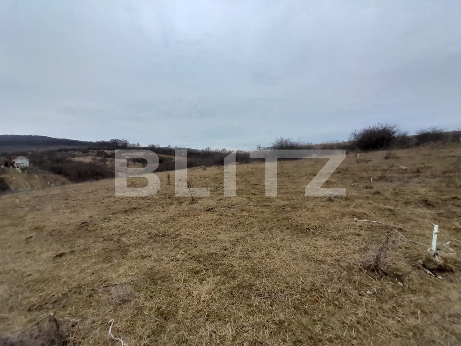 Teren de vânzare Sud-Vest - 136515TV | BLITZ Bistriţa | Poza2
