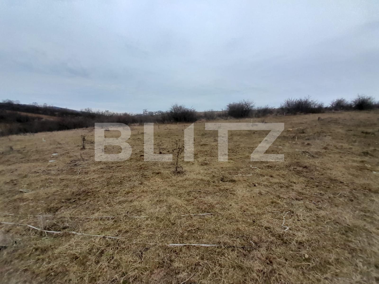 Teren de vânzare Sud-Vest - 136515TV | BLITZ Bistriţa | Poza3