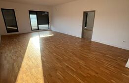 Penthouse zona Subcetate 