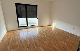 Penthouse zona Subcetate 