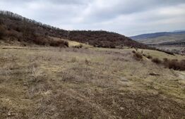 Teren Extravilan, 9000 mp, zona Viisoara