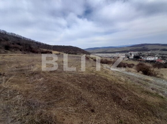 Teren de vânzare Viișoara - 136568TV | BLITZ Bistriţa | Poza2