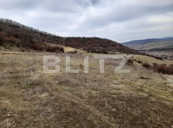 Teren de vânzare Viișoara - 136568TV | BLITZ Bistriţa | Poza4