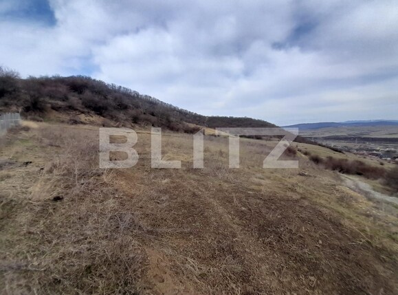 Teren de vânzare Viișoara - 136568TV | BLITZ Bistriţa | Poza3