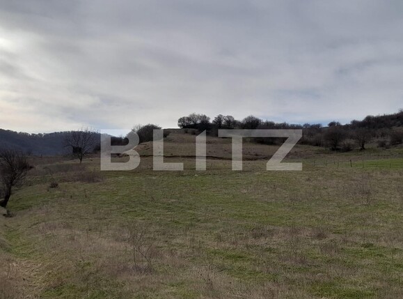 Teren de vânzare Viișoara - 136568TV | BLITZ Bistriţa | Poza1