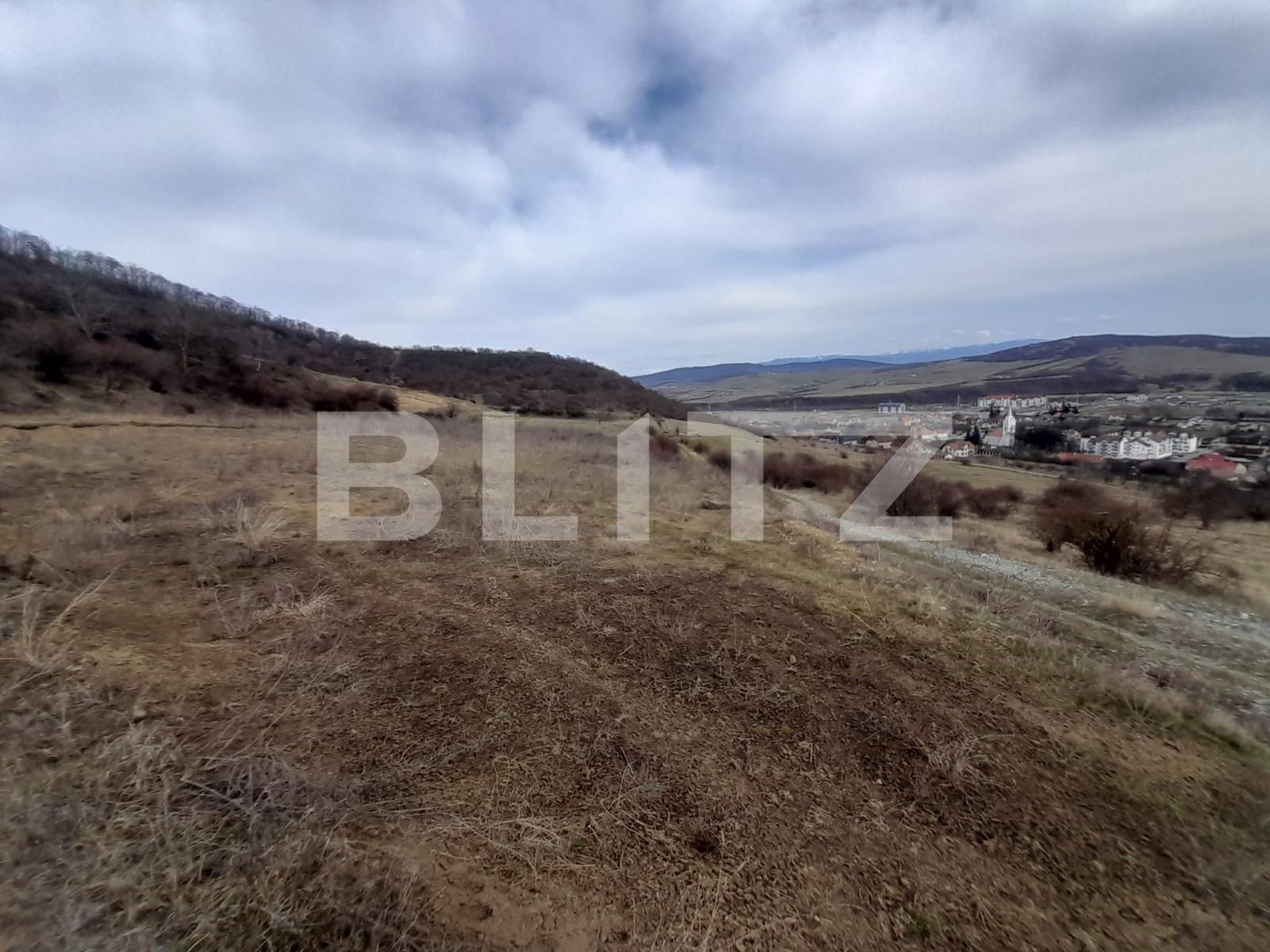 Teren de vânzare Viișoara - 136568TV | BLITZ Bistriţa | Poza2