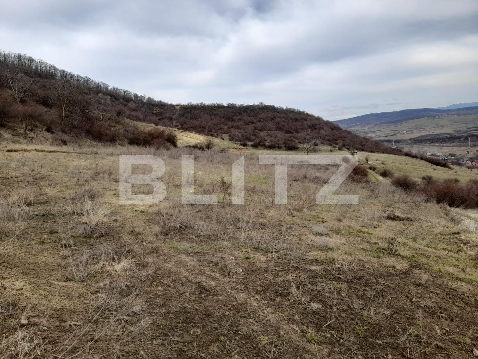 Teren de vânzare Viișoara - 136568TV | BLITZ Bistriţa | Poza4