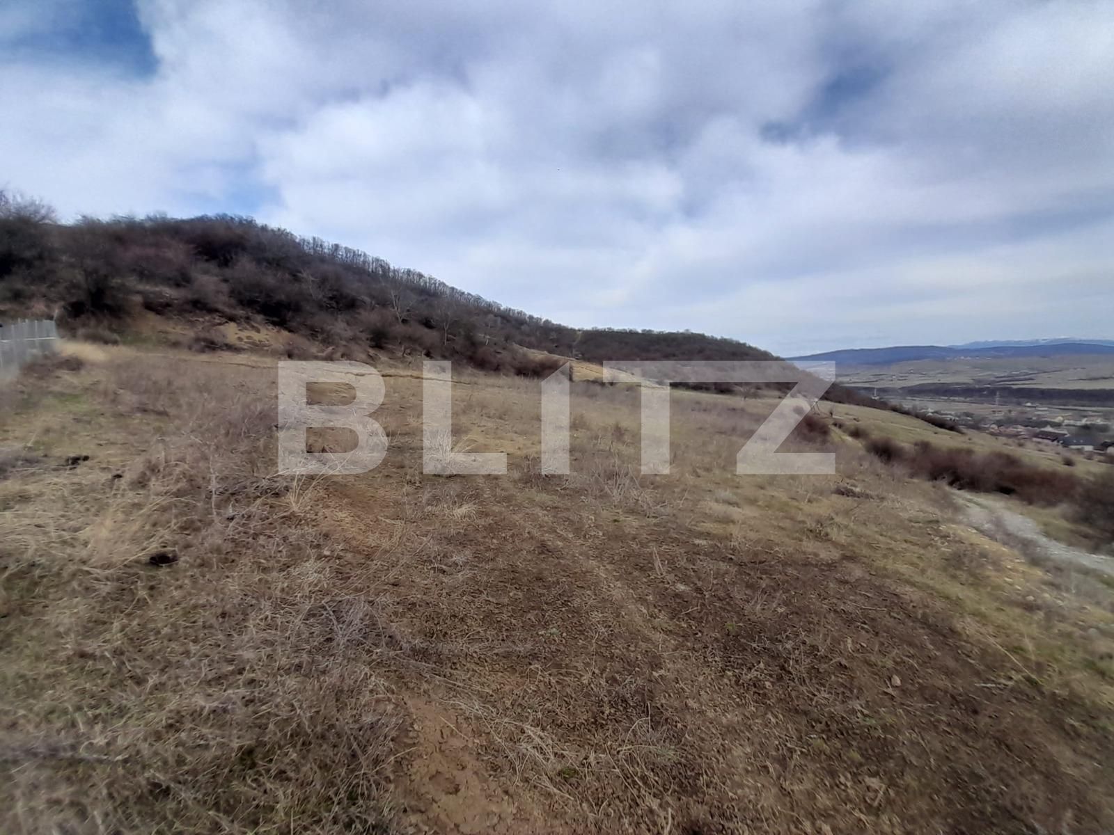 Teren de vânzare Viișoara - 136568TV | BLITZ Bistriţa | Poza3