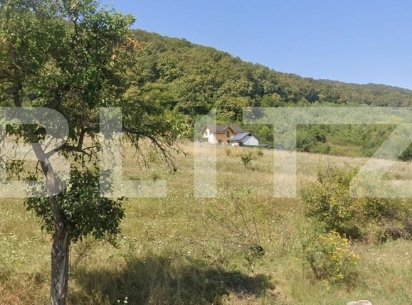 Teren de vânzare Viișoara - 136575TV | BLITZ Bistriţa | Poza1