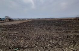 Teren De Vanzare langa Crama Jelna