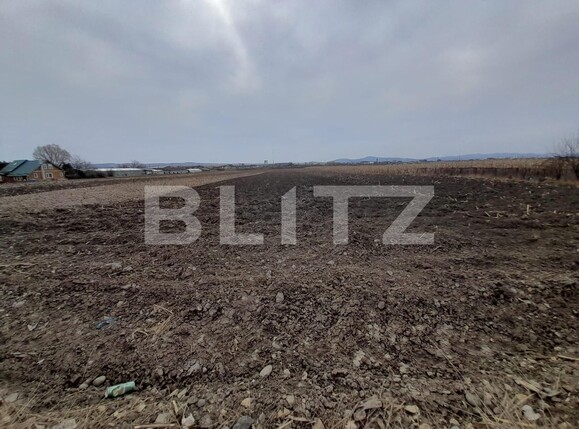 Teren de vânzare Est - 136598TV | BLITZ Bistriţa | Poza1