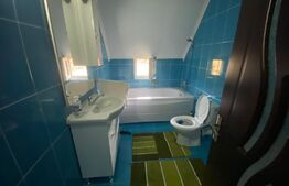 2 CASE + teren de vanzare Valea Ghinzii