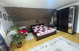 2 CASE + teren de vanzare Valea Ghinzii