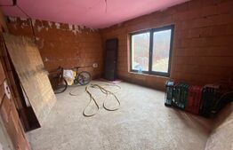 2 CASE + teren de vanzare Valea Ghinzii