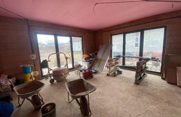 2 CASE + teren de vanzare Valea Ghinzii