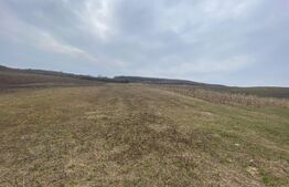 TEREN EXTRAVILAN 25 ARII, Jelna