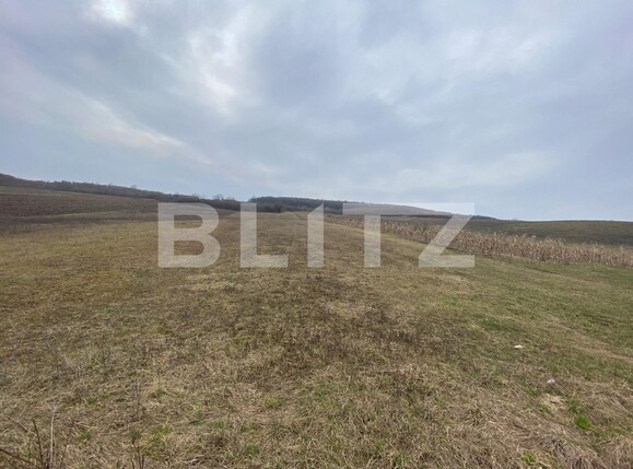 Teren de vânzare Exterior Est - 136783TV | BLITZ Bistriţa | Poza1