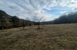 Teren Extravilan, 2526 mp, zona Slatinitei