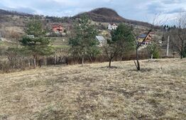 Teren Extravilan, 2526 mp, zona Slatinitei