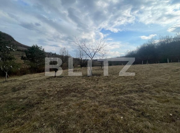 Teren de vânzare Exterior Nord - 136852TV | BLITZ Bistriţa | Poza4