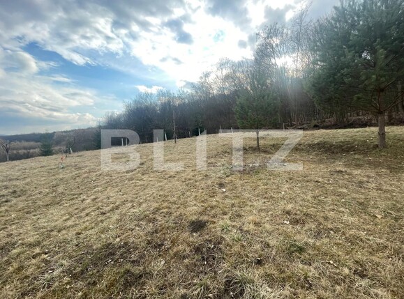 Teren de vânzare Exterior Nord - 136852TV | BLITZ Bistriţa | Poza1