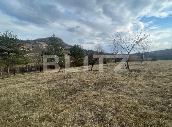 Teren de vânzare Exterior Nord - 136852TV | BLITZ Bistriţa | Poza5