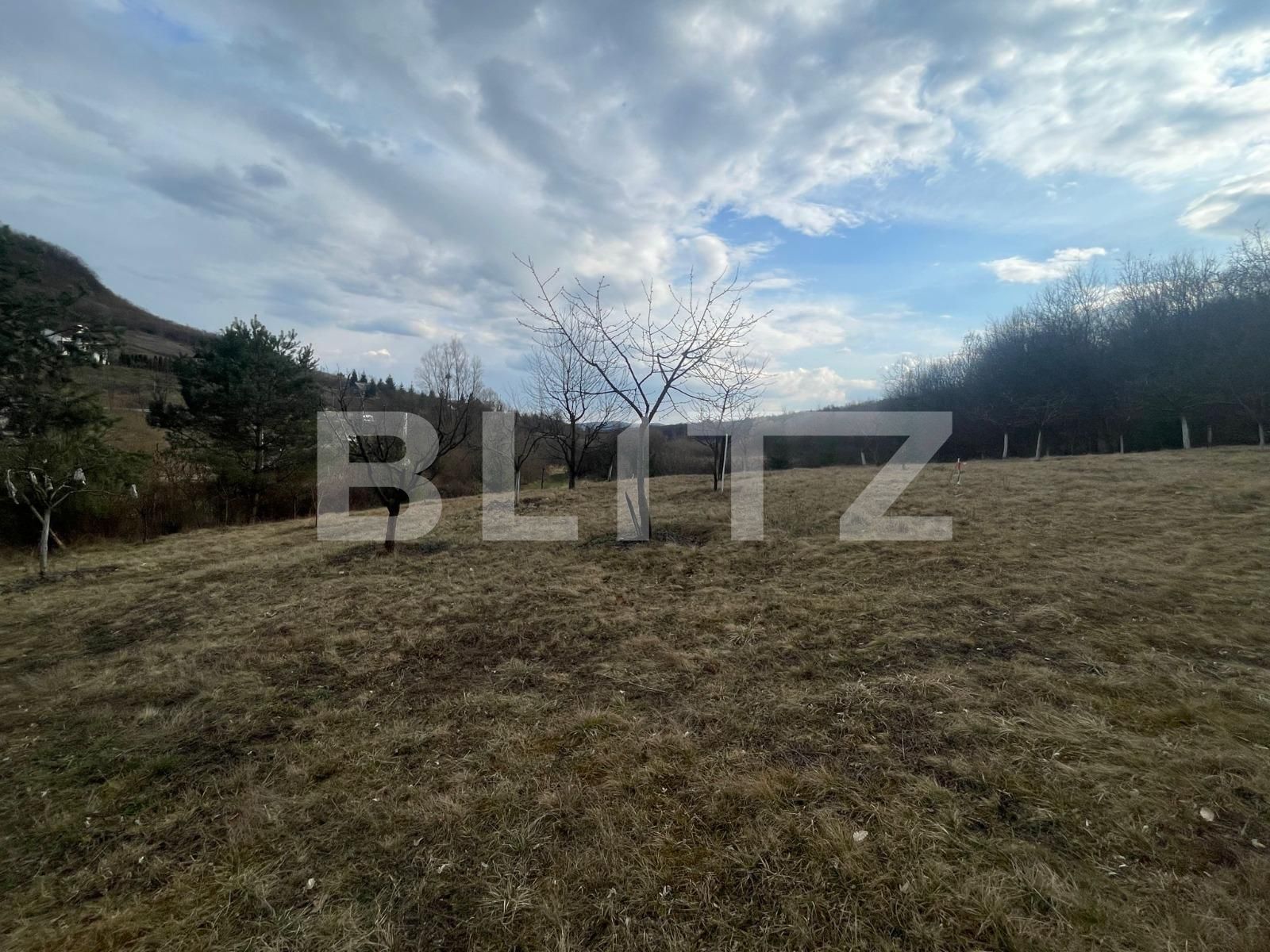 Teren de vânzare Exterior Nord - 136852TV | BLITZ Bistriţa | Poza4