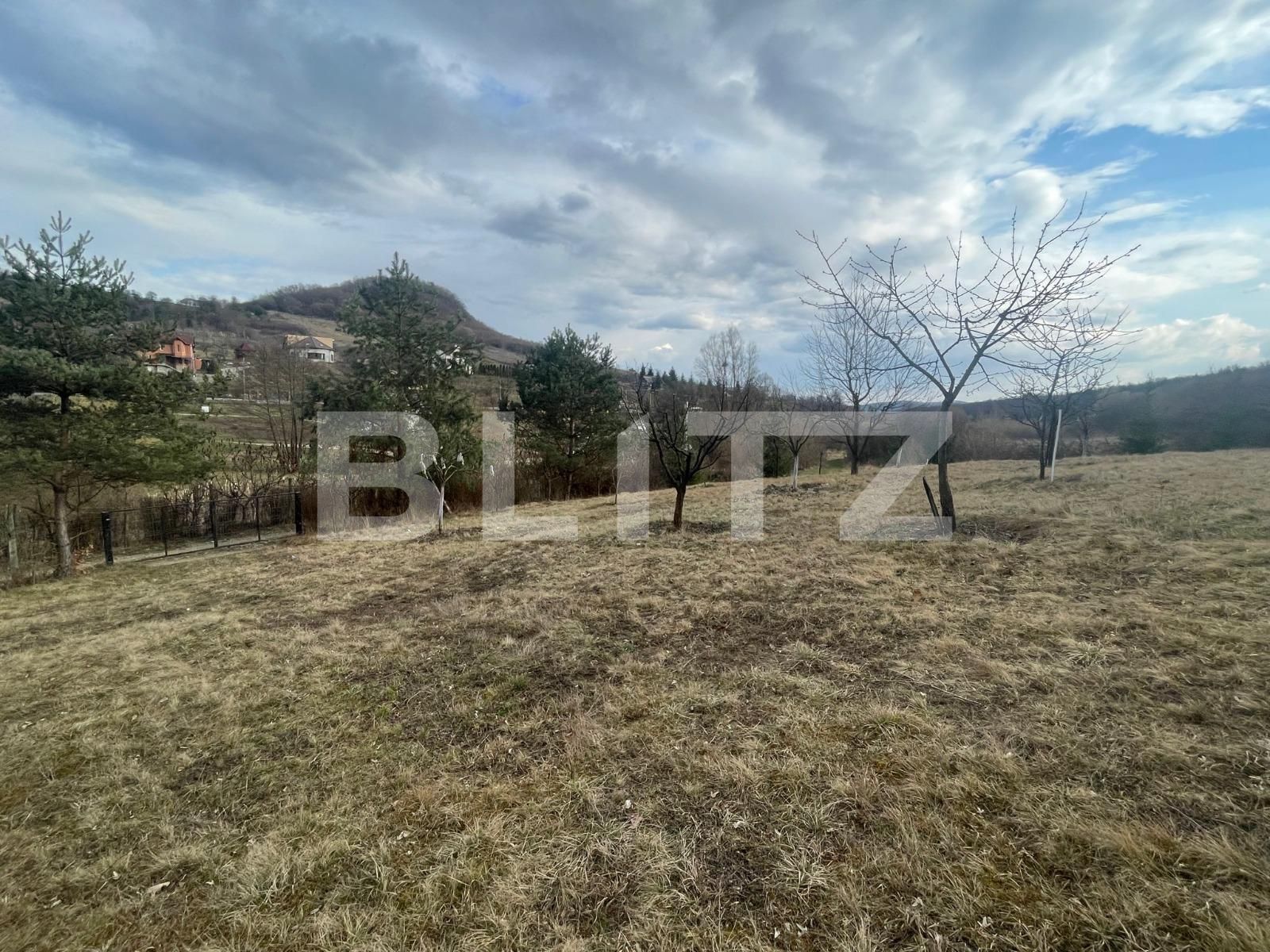 Teren de vânzare Exterior Nord - 136852TV | BLITZ Bistriţa | Poza5