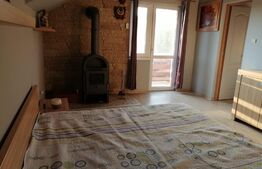 Casa cu o suprafata utila 200 mp, 310 mp teren, zona Unirea