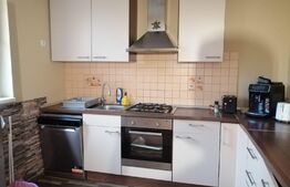 Casa cu o suprafata utila 200 mp, 310 mp teren, zona Unirea