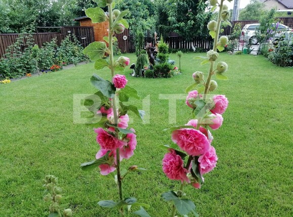 Casa de vânzare 6 camere Unirea - 136877CV | BLITZ Bistriţa | Poza11