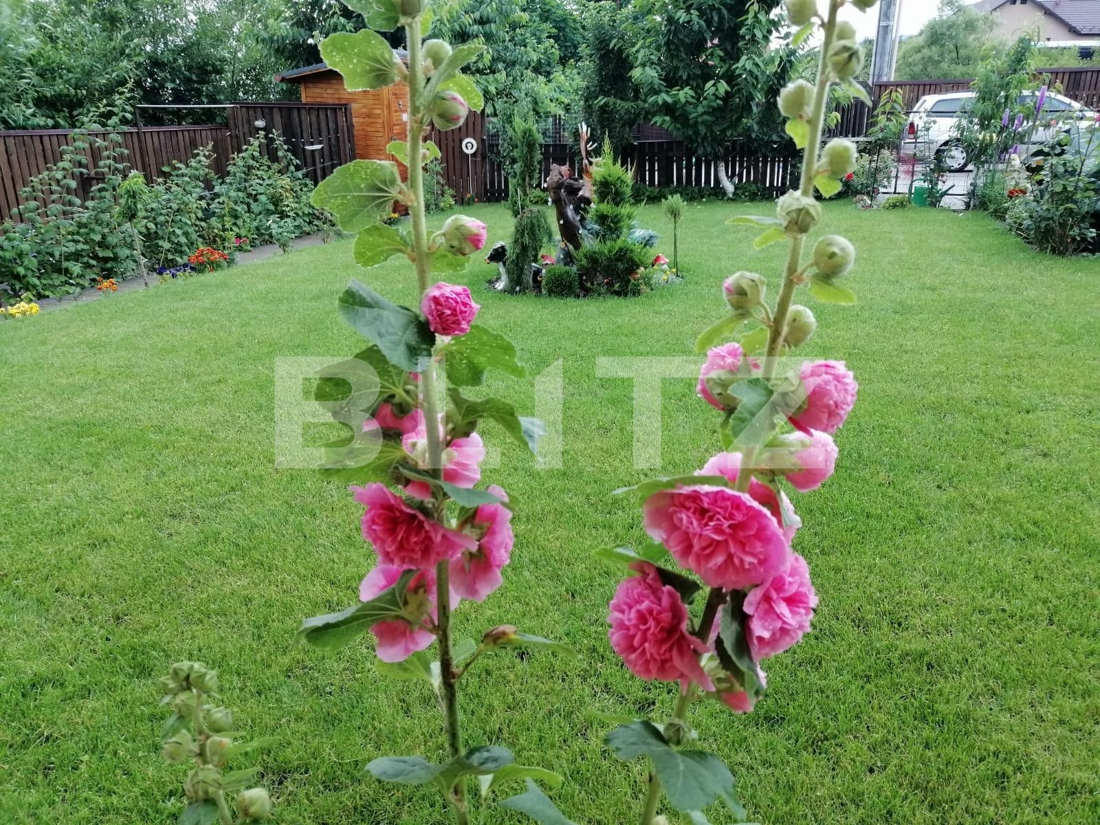 Casa de vânzare 6 camere Unirea - 136877CV | BLITZ Bistriţa | Poza11