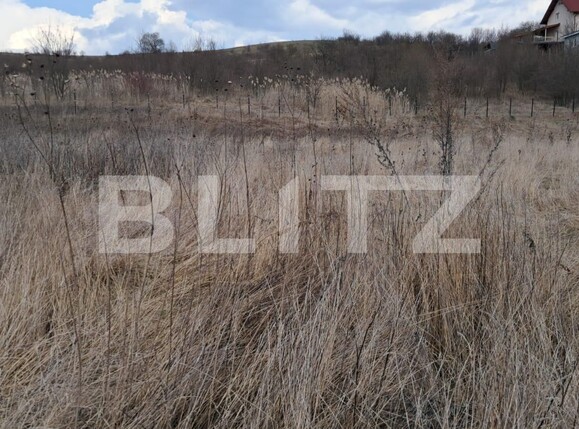 Teren de vânzare Sigmir - 136926TV | BLITZ Bistriţa | Poza2