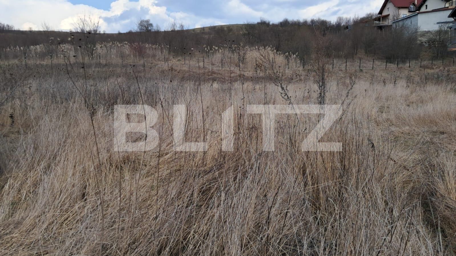 Teren de vânzare Sigmir - 136926TV | BLITZ Bistriţa | Poza2